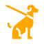 Canine training